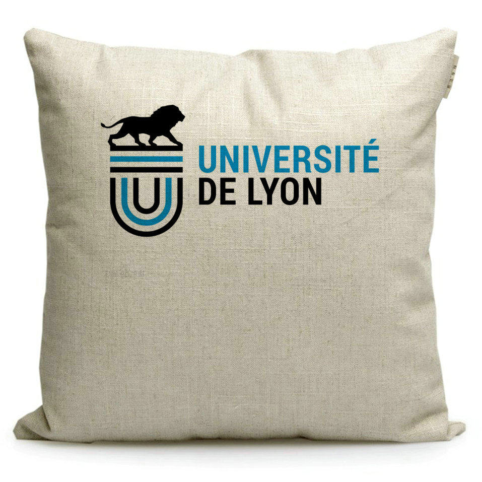 法国大学纪念品布艺沙发靠垫定制