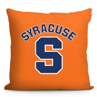 雪城大学纪念品Syracuse University美国定制靠枕抱枕