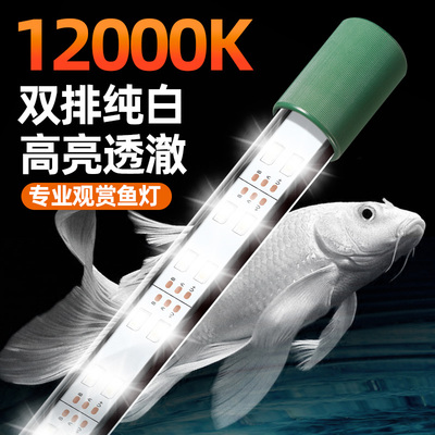 新款超亮白光灯鱼缸灯led灯防水蝴蝶鲤观赏水族箱照明水草灯吸盘