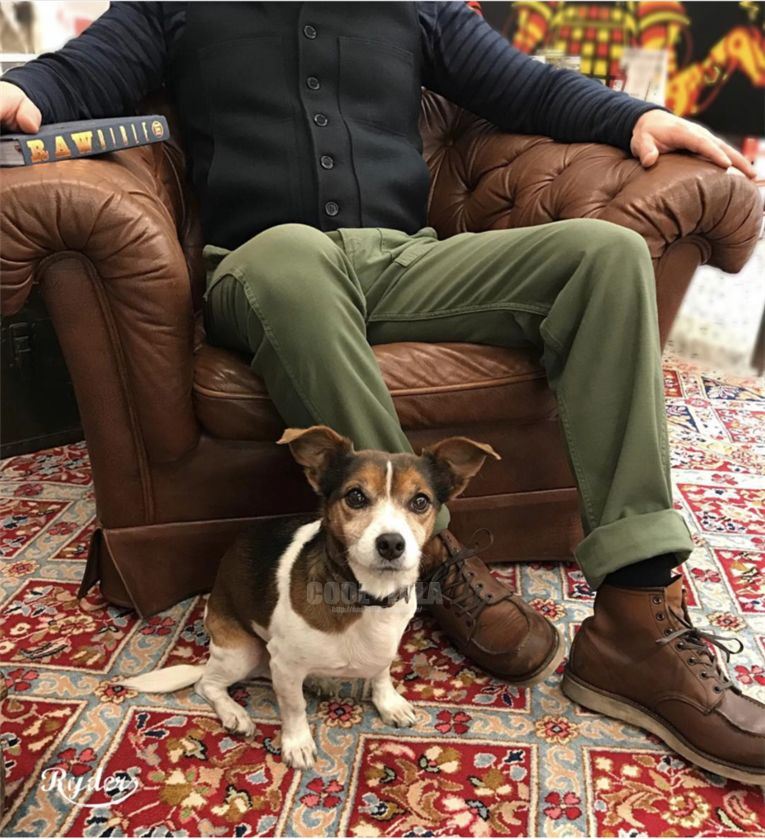 Tellason work clothes leisure time trousers chino Tapered pants regular Domestic spotin the Men's clothing, Casual pants  category - from Buy2taobao.com to provide professional Taobao agent buy service