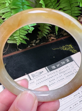 圆条53圈口缅甸天然A货老坑种平洲直供平洲翡翠手镯精选099D0303