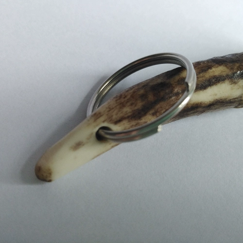 811 Тренировка собак, костный свист, дрессировка, мастер натуральный рога, рога, с кожаной веревкой, британская оригинальная оригинальная спина подлинная гарантия