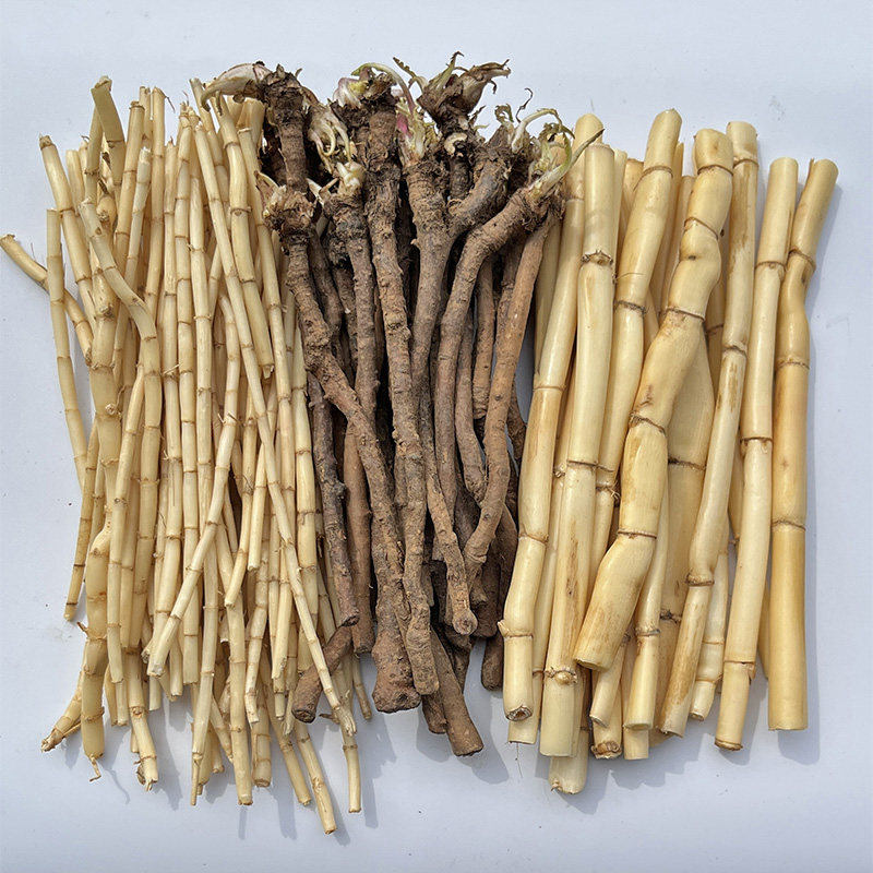 新鲜野生三根汤组合茅根芦根蒲