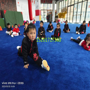 练武术毛垫子地下室影音隔音加厚加绒地毯家居防火防阻燃定制卷毯