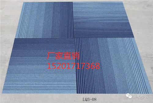 恒发LQ3方块拼接地毯满铺商用办公场所商务楼吸音阻燃耐用50*50cm