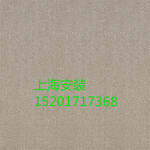 大于里昂尼龙方块地毯会议室书房家用台球厅满铺拼接方块毯上海发