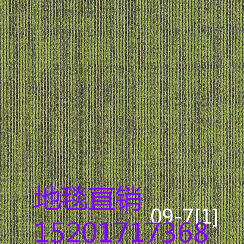 巨东方块拼接地毯JNP09尼龙PVC底环保家用书房客厅卧室阳台地毯