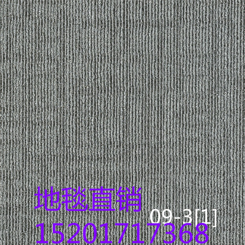 JNP09系列巨东方块地毯商用写字楼别墅豪宅民宿展厅地毯防滑吸音