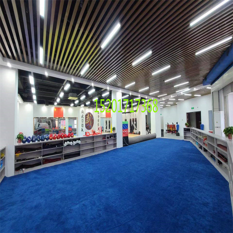 弯头纱阻燃家用地毯武术馆加厚卷材4米办公室影剧院隔音大面积铺,家居饰品,家饰软装搭配套装,淘宝优惠券,粉丝福利购,淘宝优惠卷