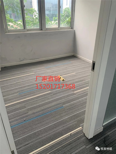 怡发色彩花园办公室地毯拼接方块卧室满铺房间工程商用办公楼地毯