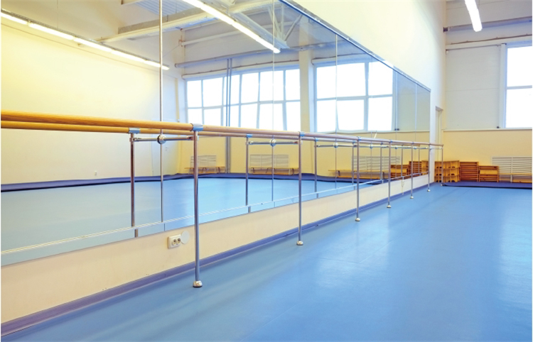 舞蹈室地胶幼儿园专业专用早教防滑环保塑胶pvc健身运动地板上海