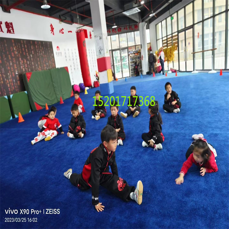 蓝色加厚10-12mm厚弯头纱地毯B1级阻燃办公室武术馆大面积整铺4米,家居饰品,家饰软装搭配套装,淘宝优惠券,粉丝福利购,淘宝优惠卷