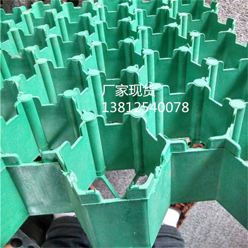生产供应停车位消防通道斜坡绿化植草格5公分植草格厂家诚信经营