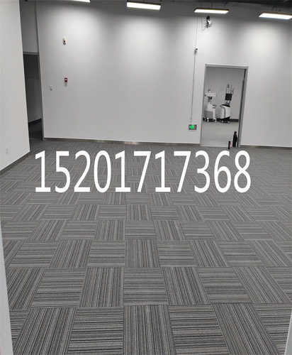圣港方块地毯阻燃洽谈室休息区专用PVC底拼接地毯50*50上海安装
