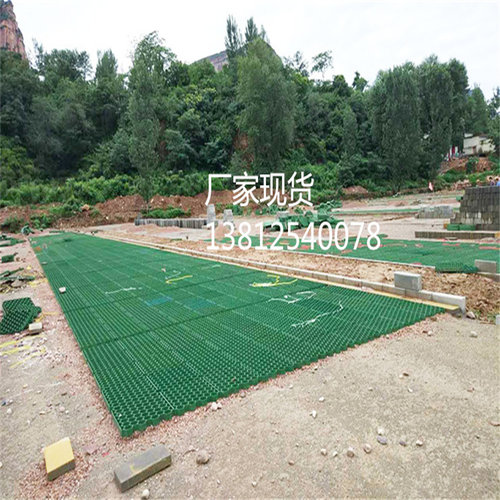 植草板生产厂家供应停车位消防通道斜坡绿化植草格5公分植草坪