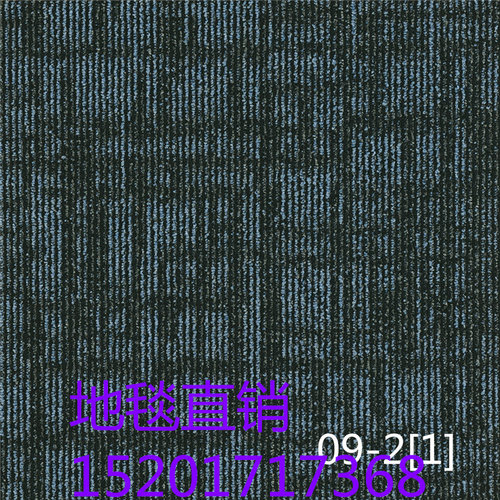 上海铺装商务办公楼工作室酒店阻燃地毯JNP09尼龙巨东方块地毯