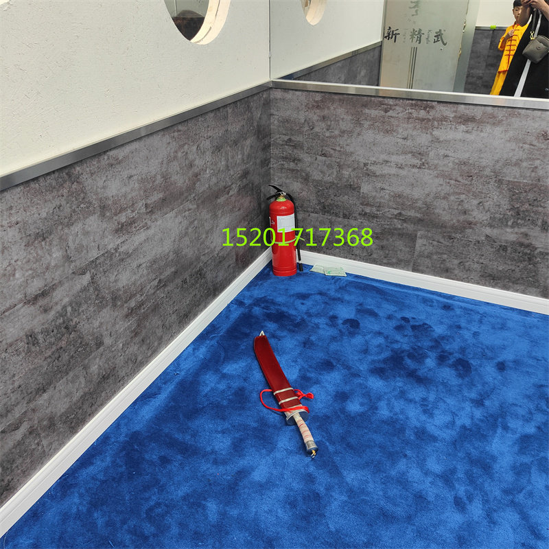 定制纯色武术比赛加厚10-12毫米厚地毯家用卧室门厅阳台裁剪地垫,家居饰品,家饰软装搭配套装,淘宝优惠券,粉丝福利购,淘宝优惠卷