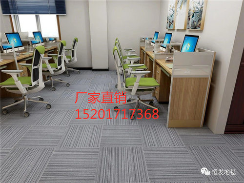 恒发LK1拼接方块地毯艺术展馆展示厅商用满铺吸音耐磨500*500mm