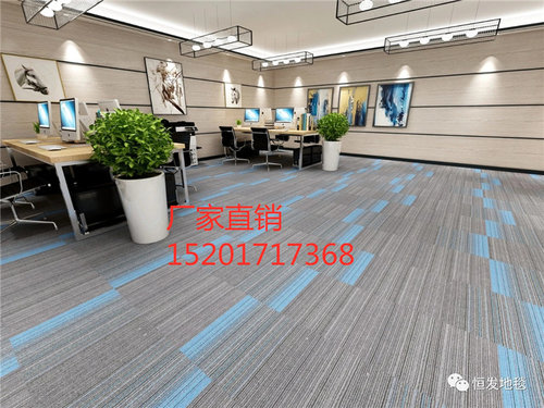 写字楼办公恒发绚丽方块50*50拼接地毯学校酒店会议室公司地装饰