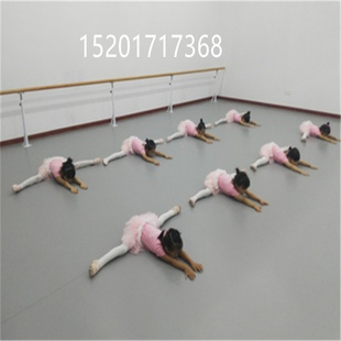 乒乓球羽毛球场地胶pvc运动地板舞蹈室健身房篮球场网球场地胶