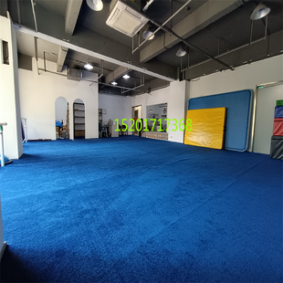 纯色地毯加厚深蓝色弯头纱美容院工作室衣帽间满铺B1级防火阻燃