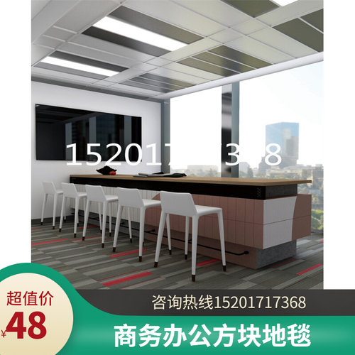 圣港方块地毯写字楼满铺办公商用门店宾馆酒店PVC底拼接地毯50*50