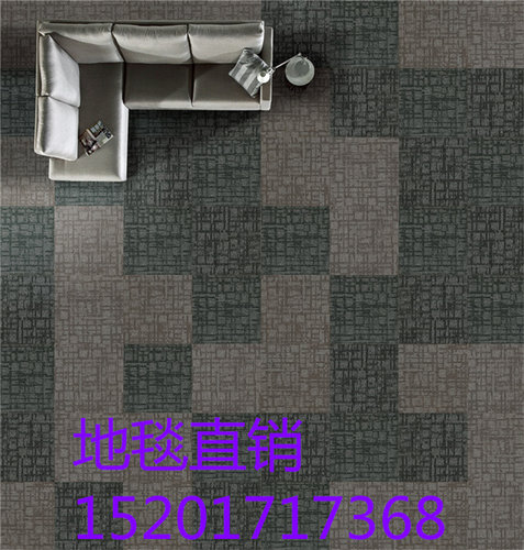 巨东尼龙pvc会议室居家方块地毯