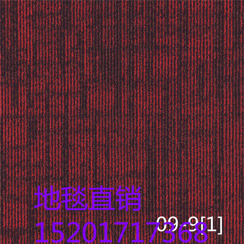 上海铺装商务办公楼工作室公寓阻燃地毯JNP09PVC尼龙巨东方块地毯