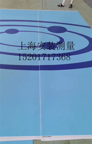 塑胶PVC地板定制3D效果地胶幼儿园健身房学校展览馆影视基地耐磨
