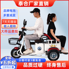 泰合电动三轮车家用新款小型接送孩子老人拉货载重电瓶残疾代步车