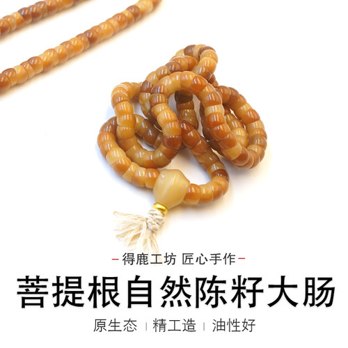 菩提根焦糖渐变大肠
