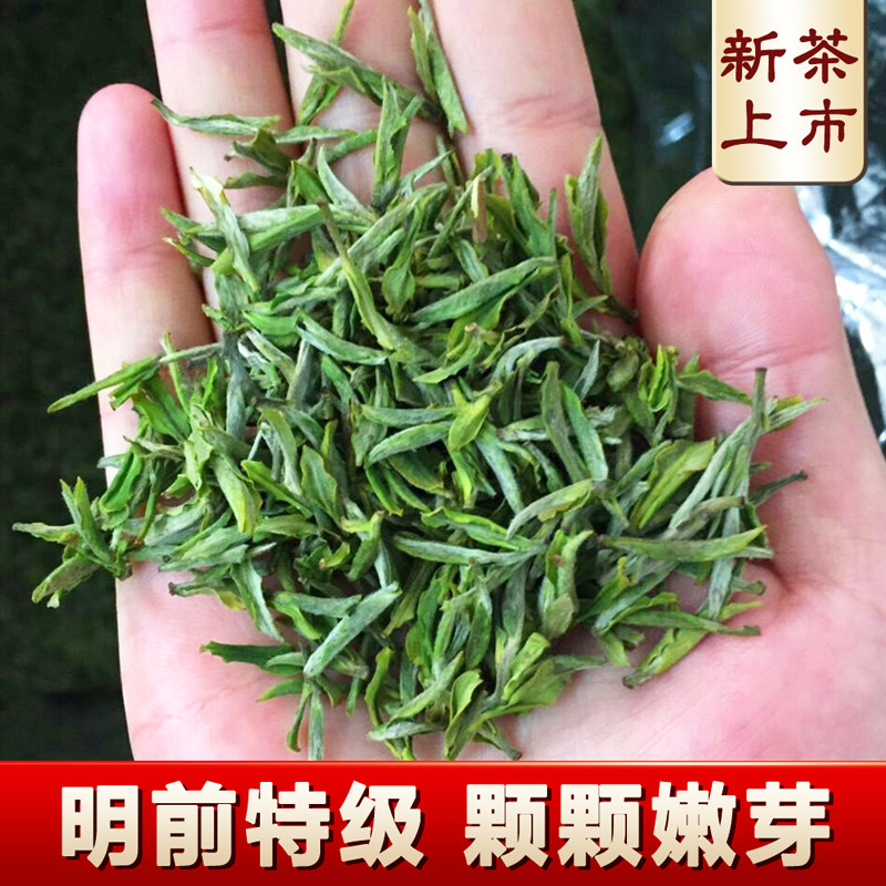 霍山黄芽2026年新茶明前特级正宗大化坪高山茶叶浓香型礼盒装500g