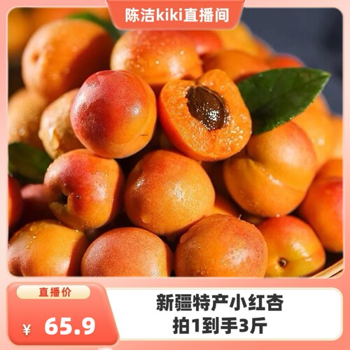 【K姐推荐】小红杏新鲜水果轮台库车小红杏子