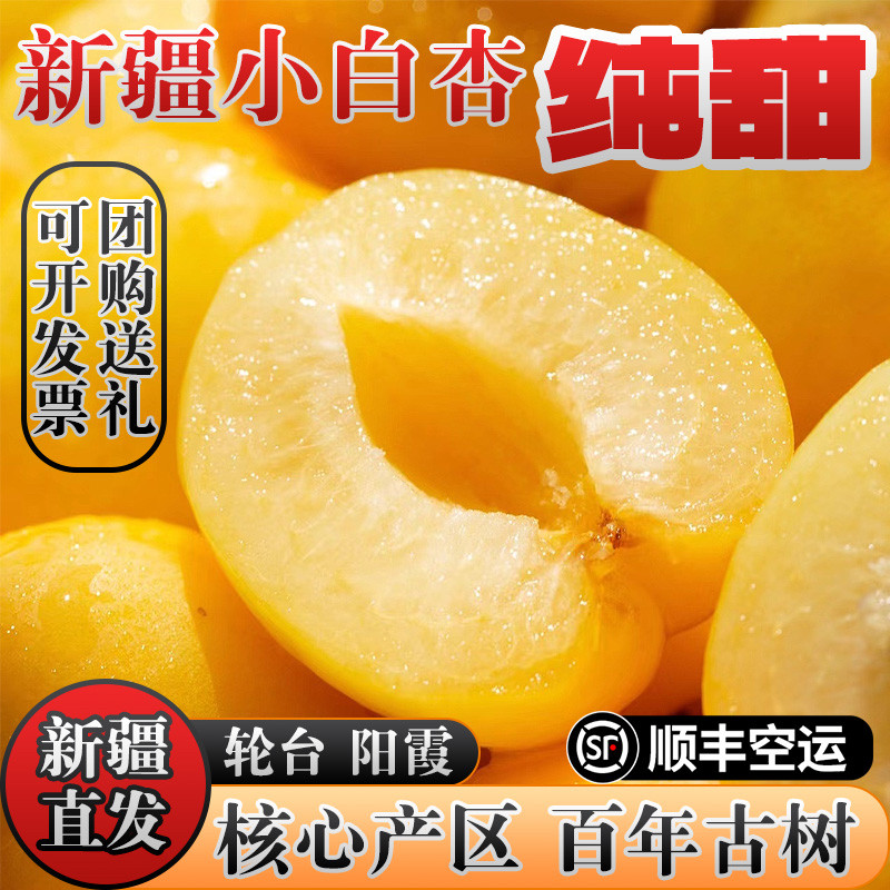 新疆小白杏新鲜水果轮台库车特产杏子当季热卖5斤整箱水果顺丰