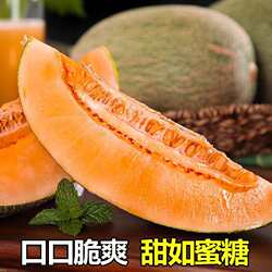 【新疆溯源专场】新疆哈密瓜水果当季现摘现发