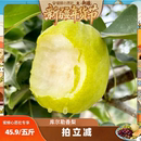 水果新鲜现摘 新疆库尔勒香梨当季 新疆年货节