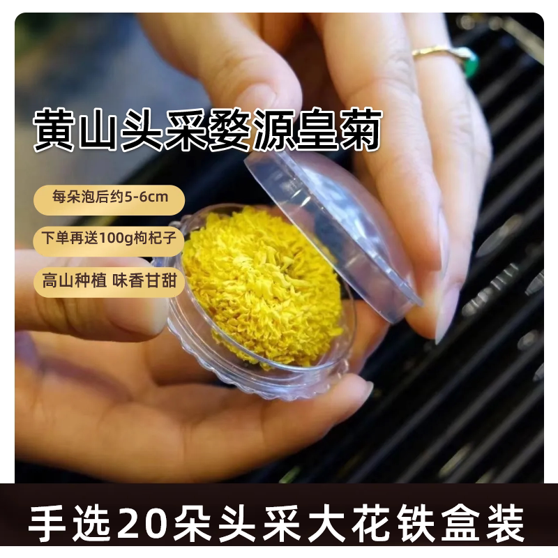 头采婺源皇菊20朵铁盒2025年新花