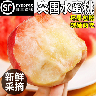 【顺丰】安徽突围水蜜桃新鲜毛桃现摘蜜桃水果当季桃子整箱包邮