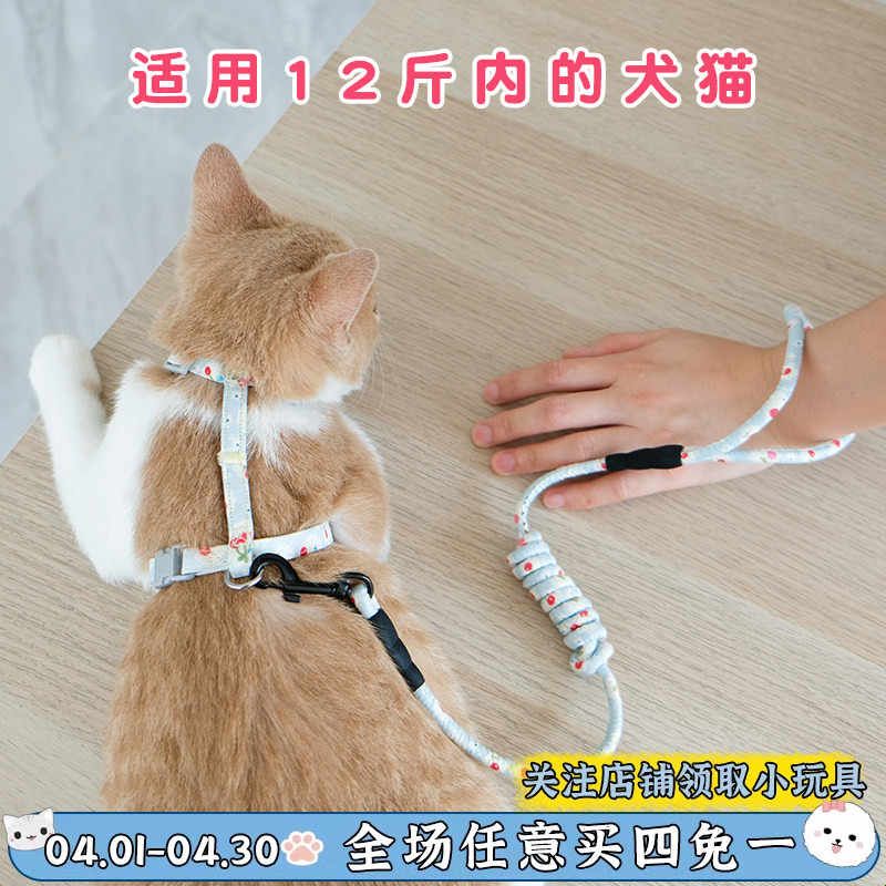 小猫咪牵引绳防挣脱幼猫幼犬小狗牵引绳工字背牵引绳胸背带溜猫绳图片