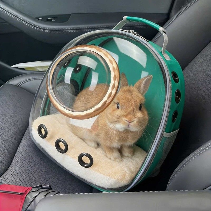 小兔子外出神器便携背包装侏儒兔龙猫荷兰猪雪貂外带箱篮子带厕所图片