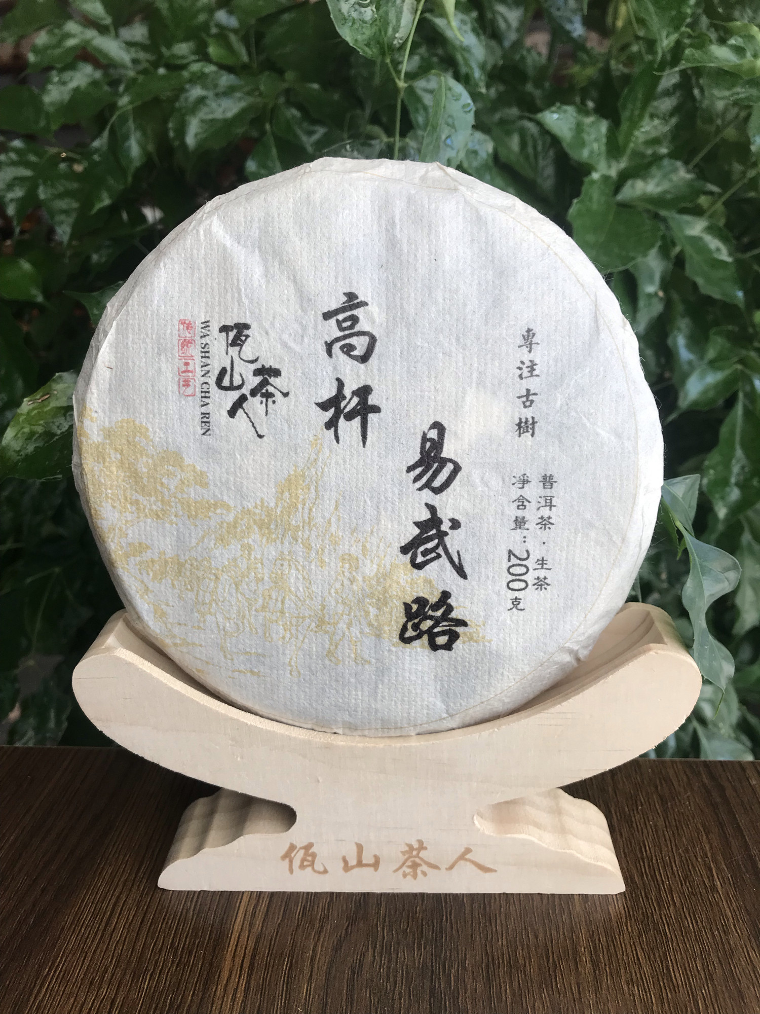 佤山茶人2021年易武路选株高杆古树春茶云南普洱茶200克饼茶生茶