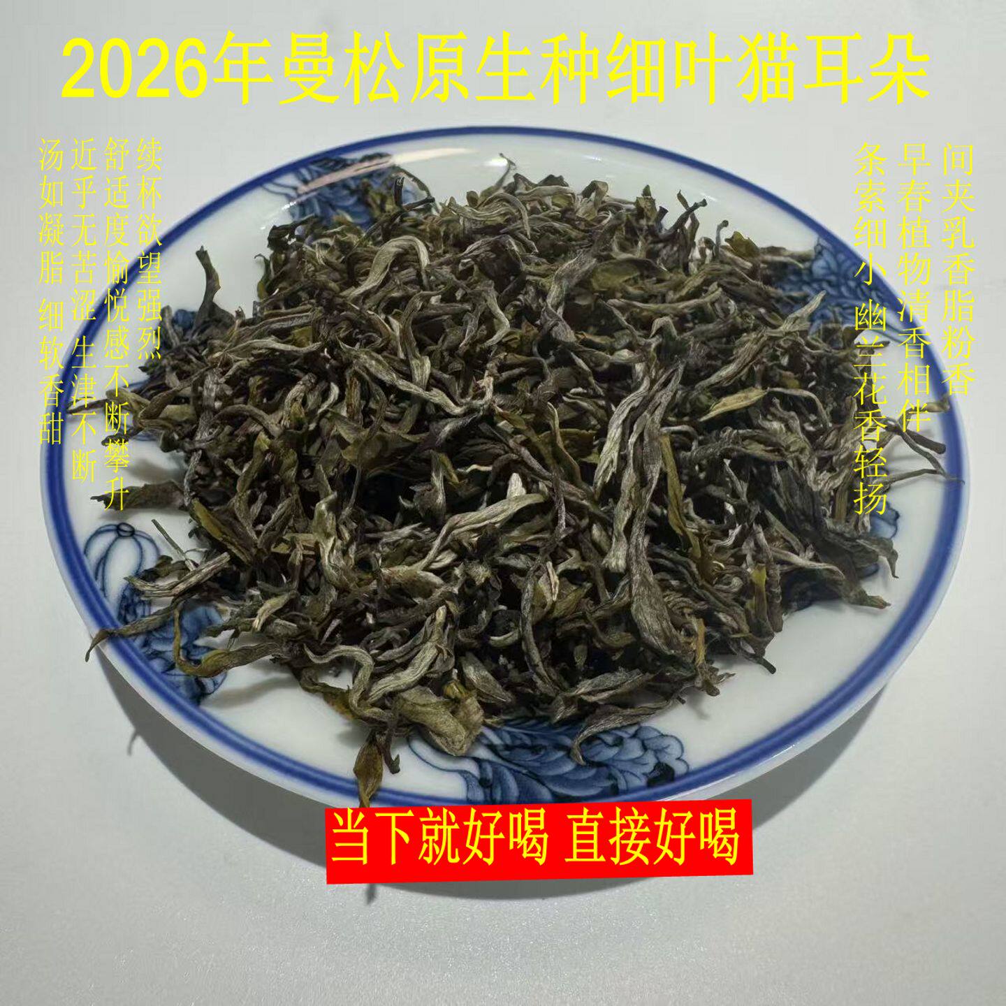 茶魏家2026年曼松王子山原生种小叶猫耳朵晒青普洱散茶50克明前茶