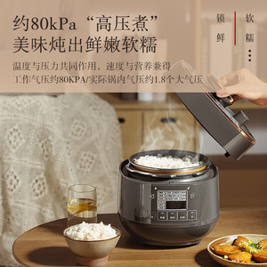 松下2L家用智能电压力锅多功能可预约电压力锅全自动SR-PB201