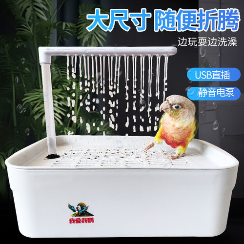 鹦鹉夏季循环过滤洗澡盆