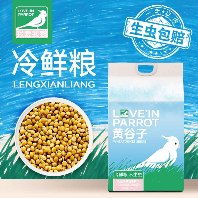 带壳黄谷子一年生虫包赔