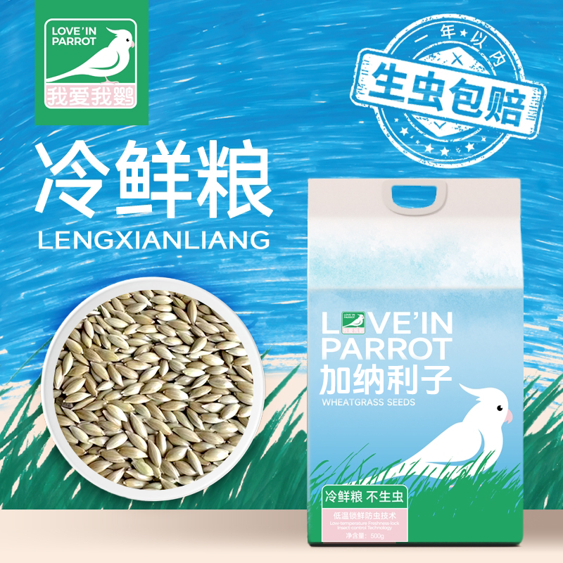 鹦鹉零食加纳利子一年生虫包赔