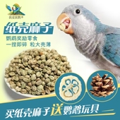 纸壳火麻子大颗粒火麻子玄凤牡丹鸟粮食奖励训练增肥零食鹦鹉鸟粮