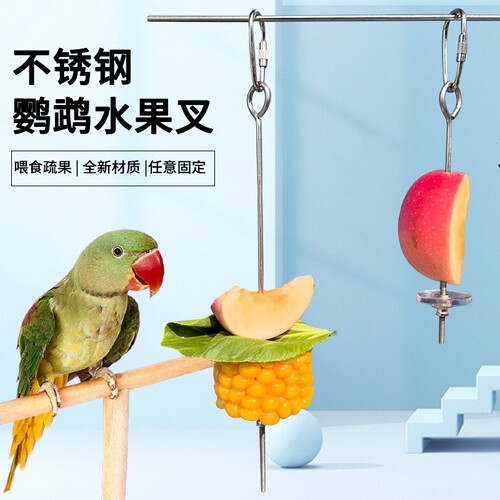 鹦鹉不锈钢水果叉玉米苹果叉宠物鸟用品可挂玩具鸟类喂食器配件