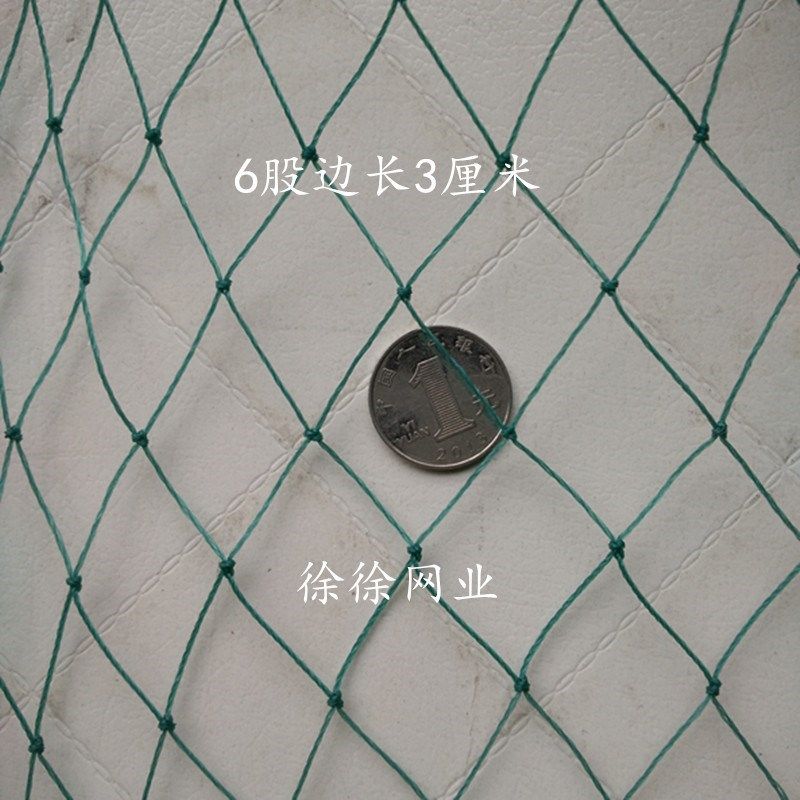 遮果树网 防鸟防乌网 果园 防鸟 果树 泥鳅网箱养殖网 专用防护|msdalam kategori penghantaran bunga/bunga simulasi/tumbuhan berkebun, Gardening Supplies, Peralatan Perkebunan lain - dari Buy2taobao.com untuk memberikan perkhidmatan ejen Taobao profesional membeli