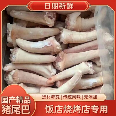 新鲜冷冻猪尾巴 猪短尾猪中尾猪长尾无根猪尾 饭店卤菜食材